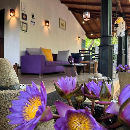 The Green Edge Dambulla Exterior photo