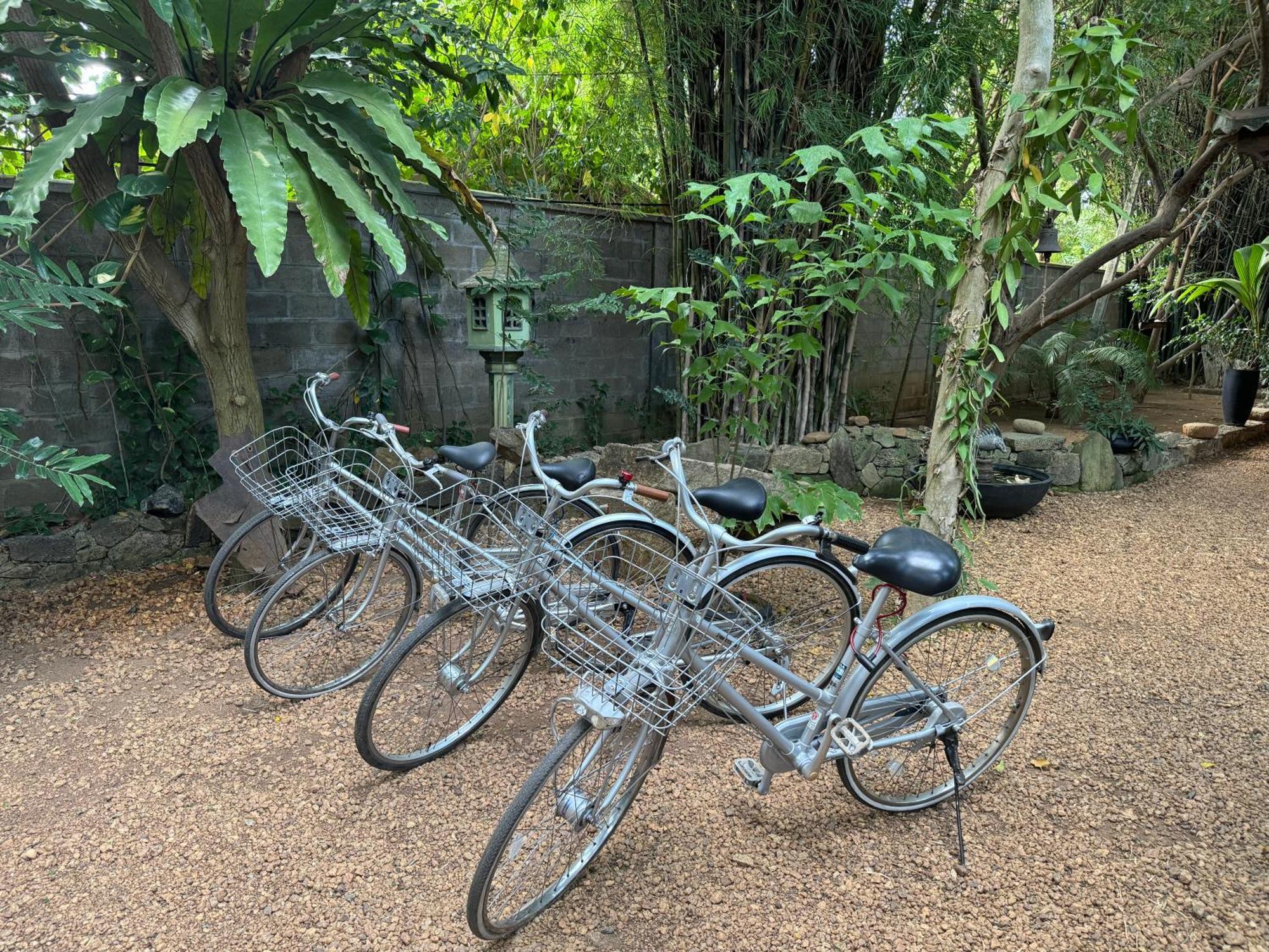 The Green Edge Dambulla Exterior photo