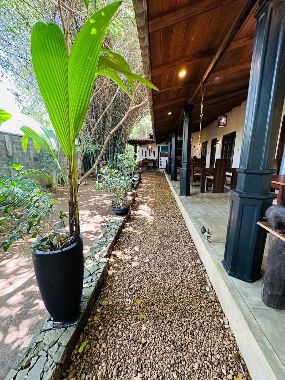 The Green Edge Dambulla Exterior photo