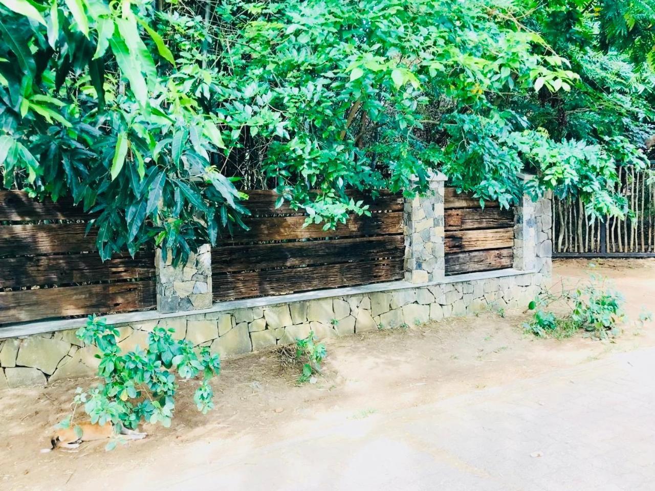 The Green Edge Dambulla Exterior photo